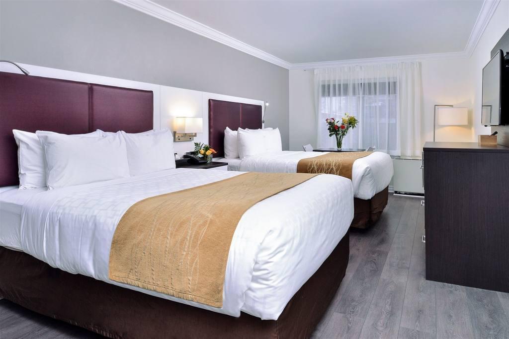 The Saint James Hotel, Ascend Hotel Collection Τορόντο Εξωτερικό φωτογραφία